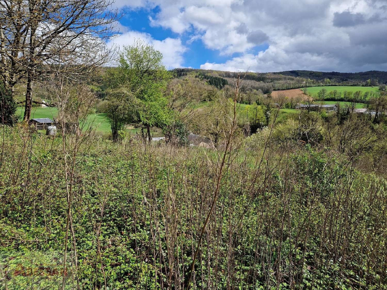  te koop terrein Anglès Tarn 5