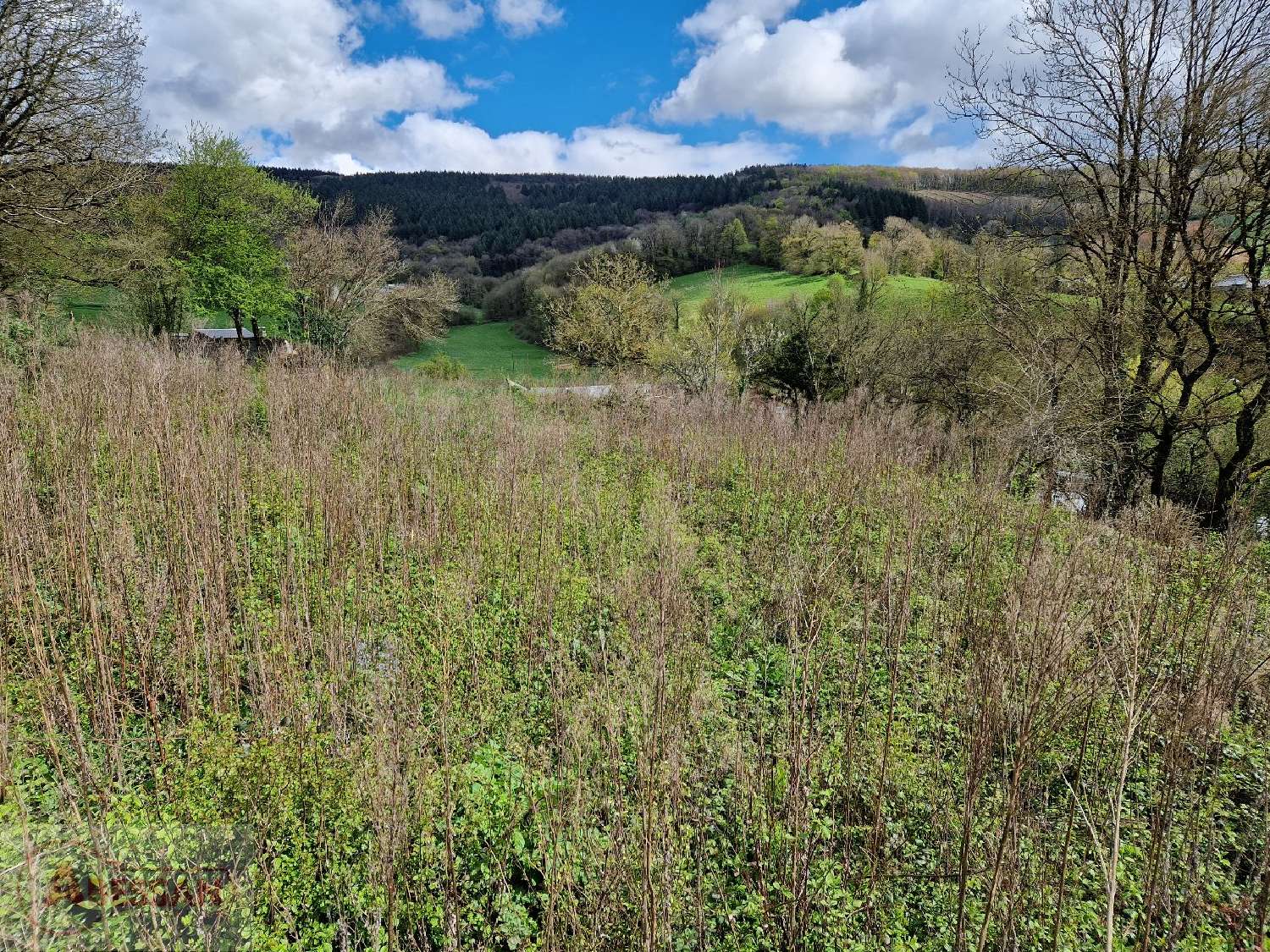  te koop terrein Anglès Tarn 7