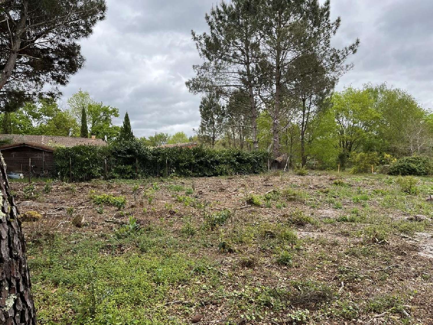  for sale terrain Balizac Gironde 1