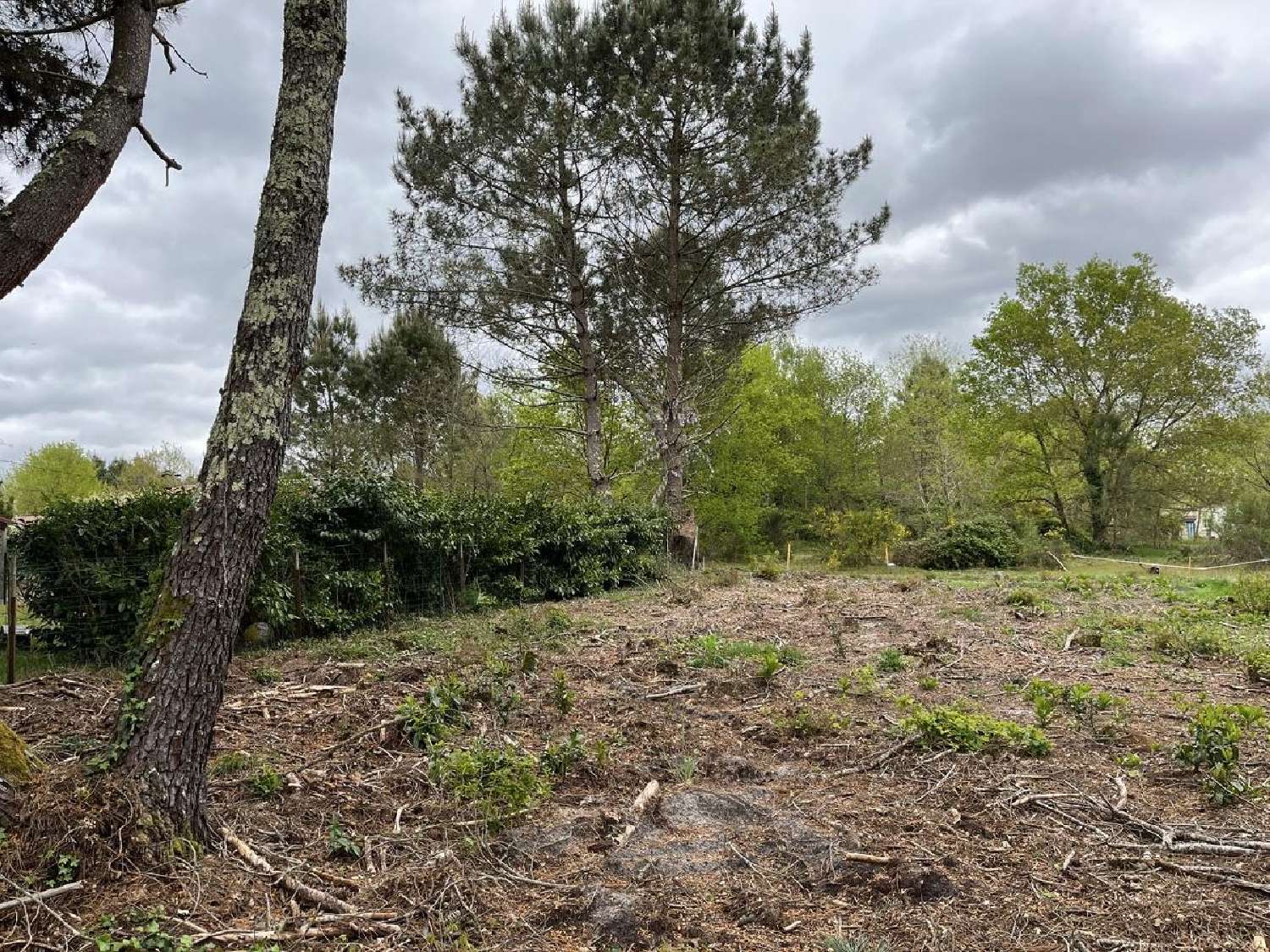  for sale terrain Balizac Gironde 2