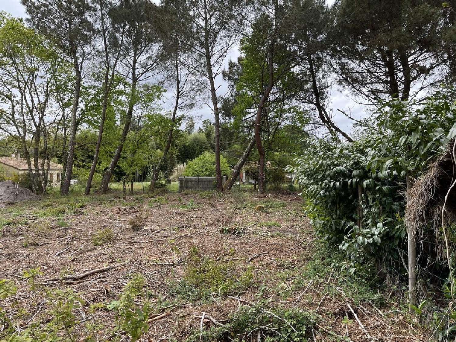  for sale terrain Balizac Gironde 4