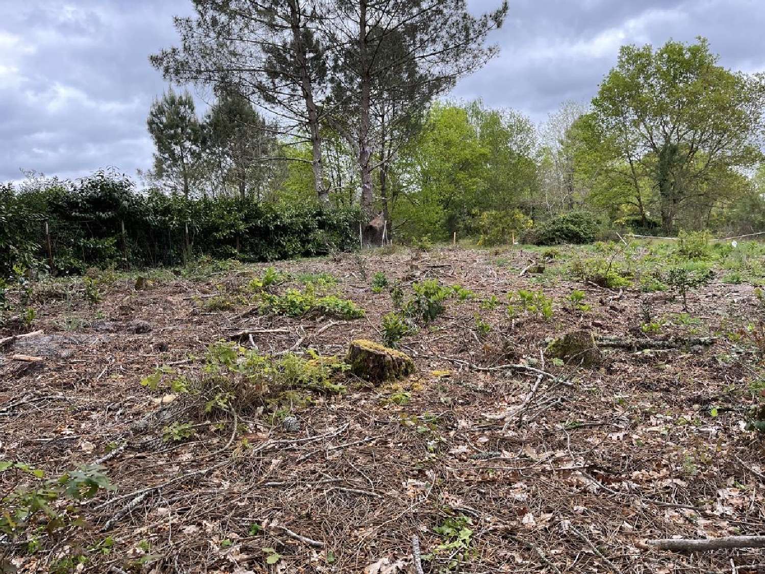  for sale terrain Balizac Gironde 5