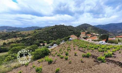 Banyuls-sur-Mer Pyrénées-Orientales terrain foto 7064444