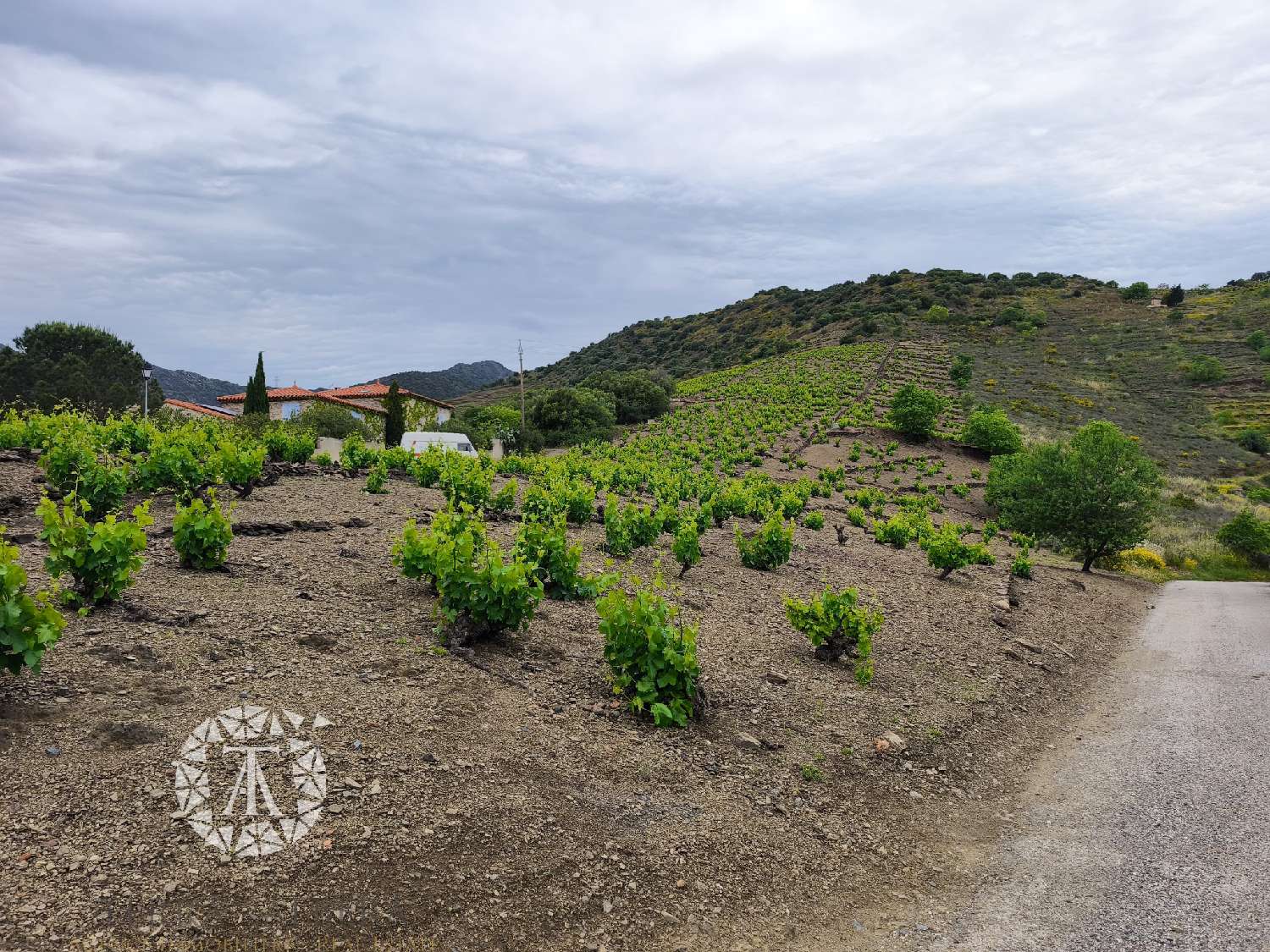  for sale terrain Banyuls-sur-Mer Pyrénées-Orientales 4