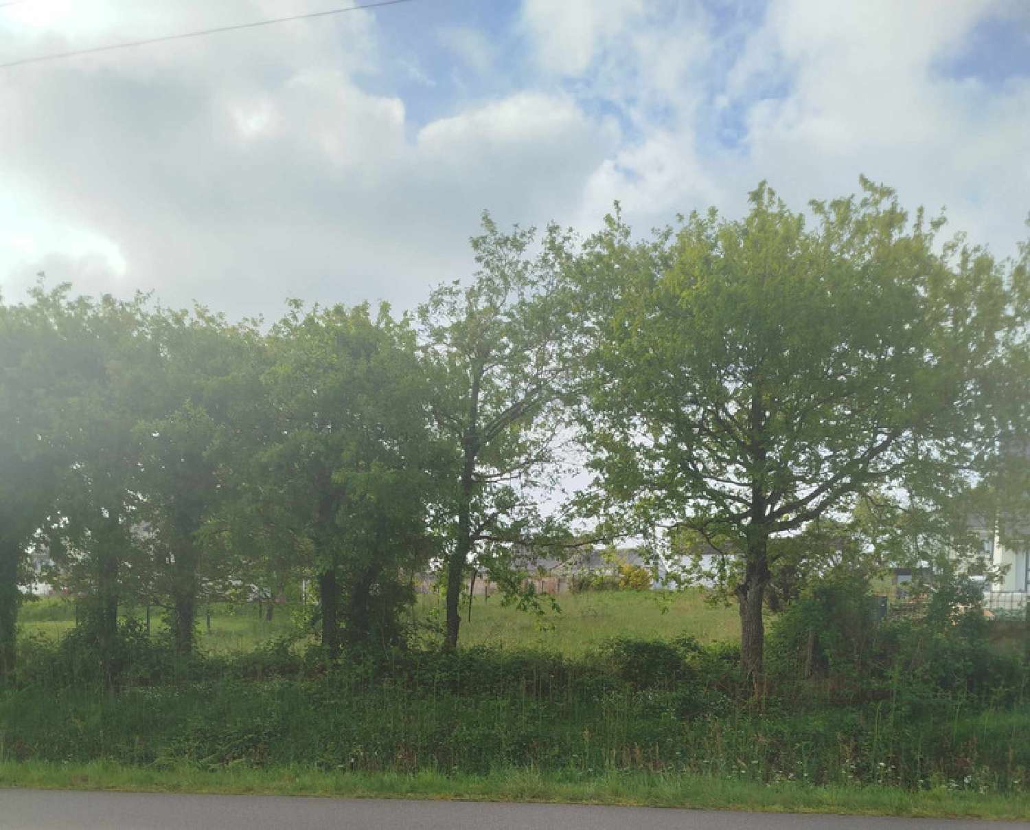  à vendre terrain Béganne Morbihan 5