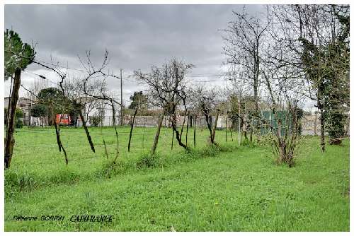 Benon Charente-Maritime terrein foto 7061137