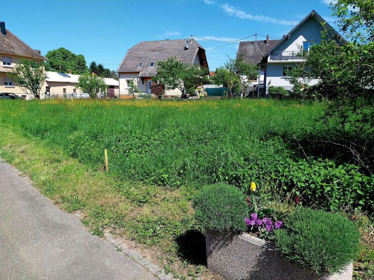  kaufen Grundstück Bernolsheim Bas-Rhin 3