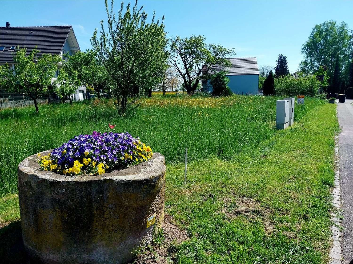  à vendre terrain Bernolsheim Bas-Rhin 4