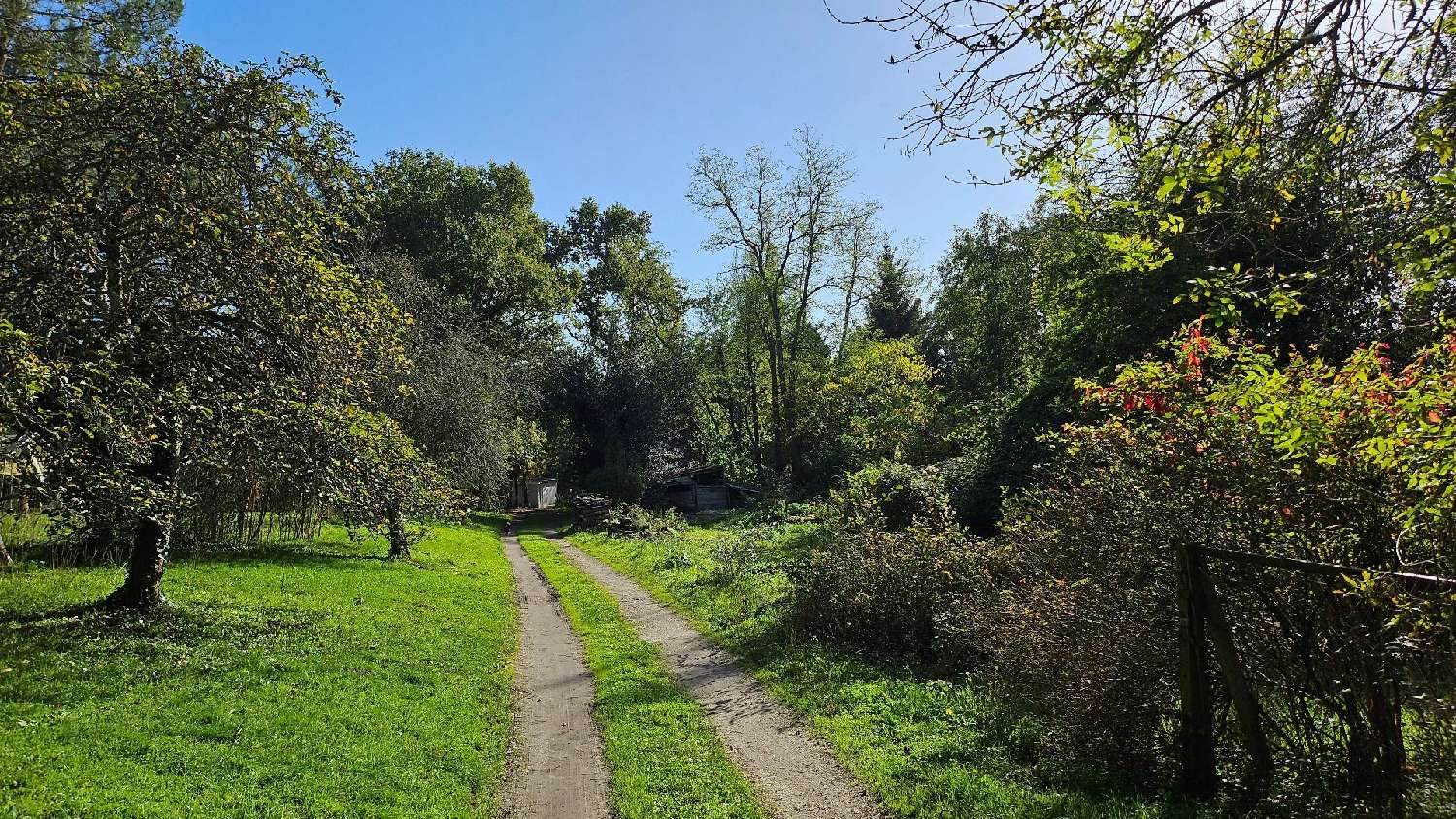  kaufen Grundstück Boisredon Charente-Maritime 3