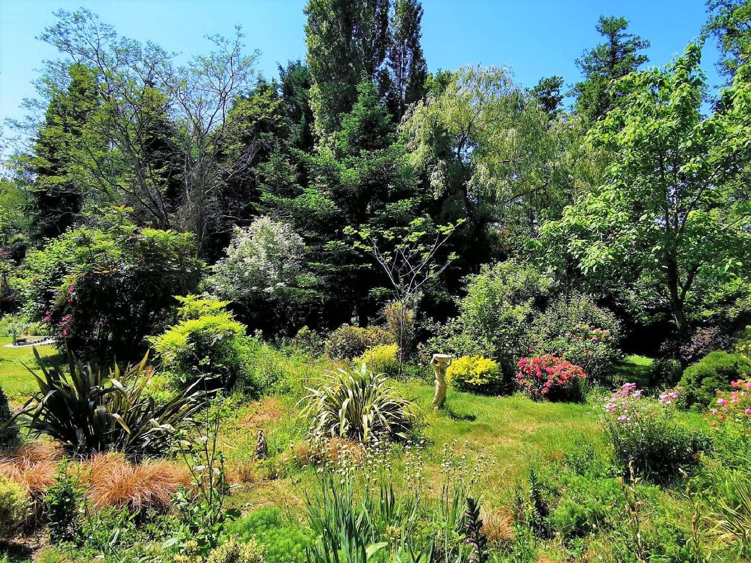  kaufen Grundstück Boisredon Charente-Maritime 6