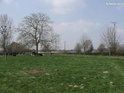 Bosc-Bordel Seine-Maritime terrein foto 7059669