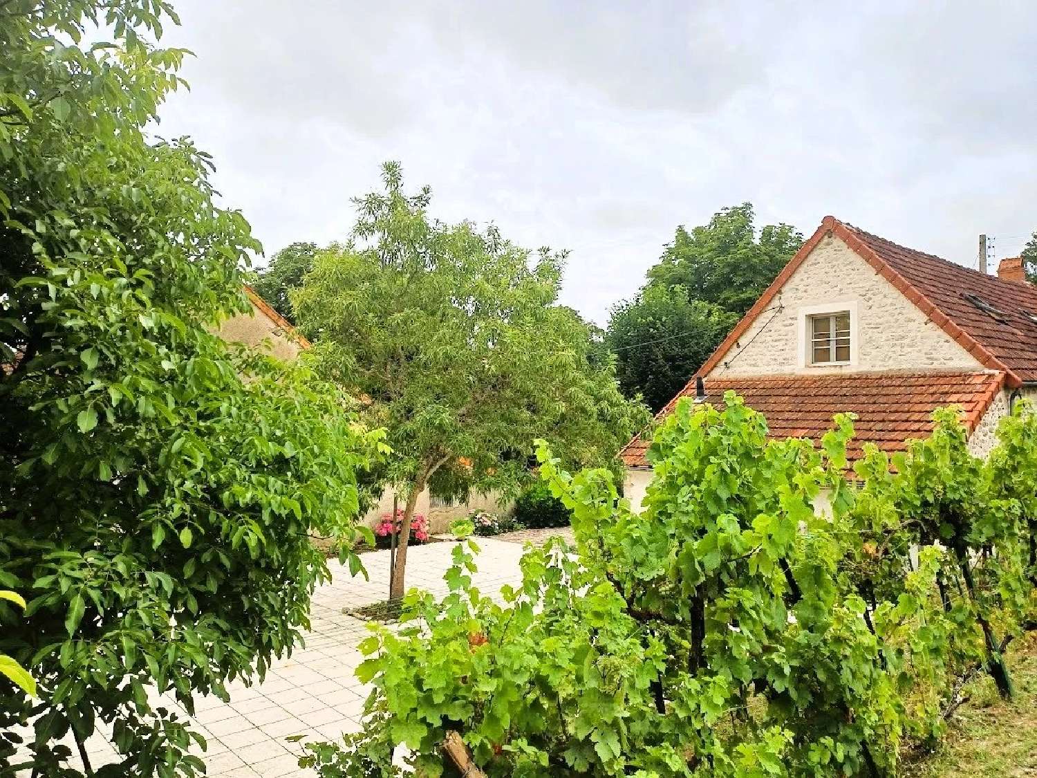  kaufen Grundstück Boussac Creuse 5
