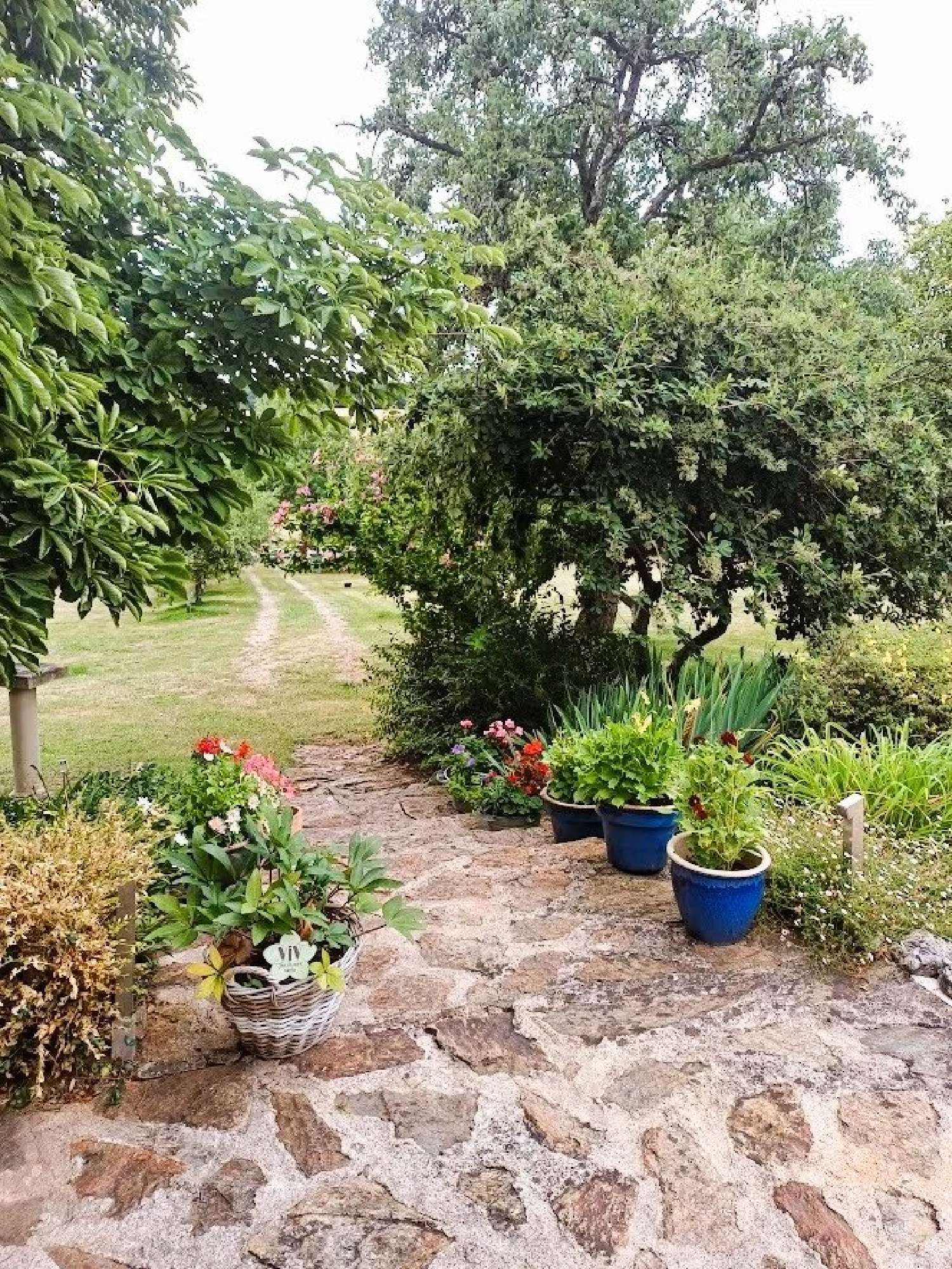  kaufen Grundstück Boussac Creuse 8