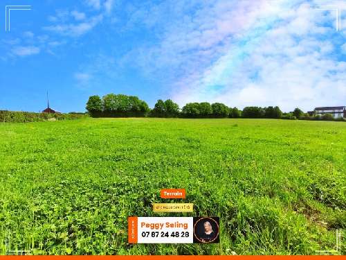 Buironfosse Aisne terreno foto 7062905