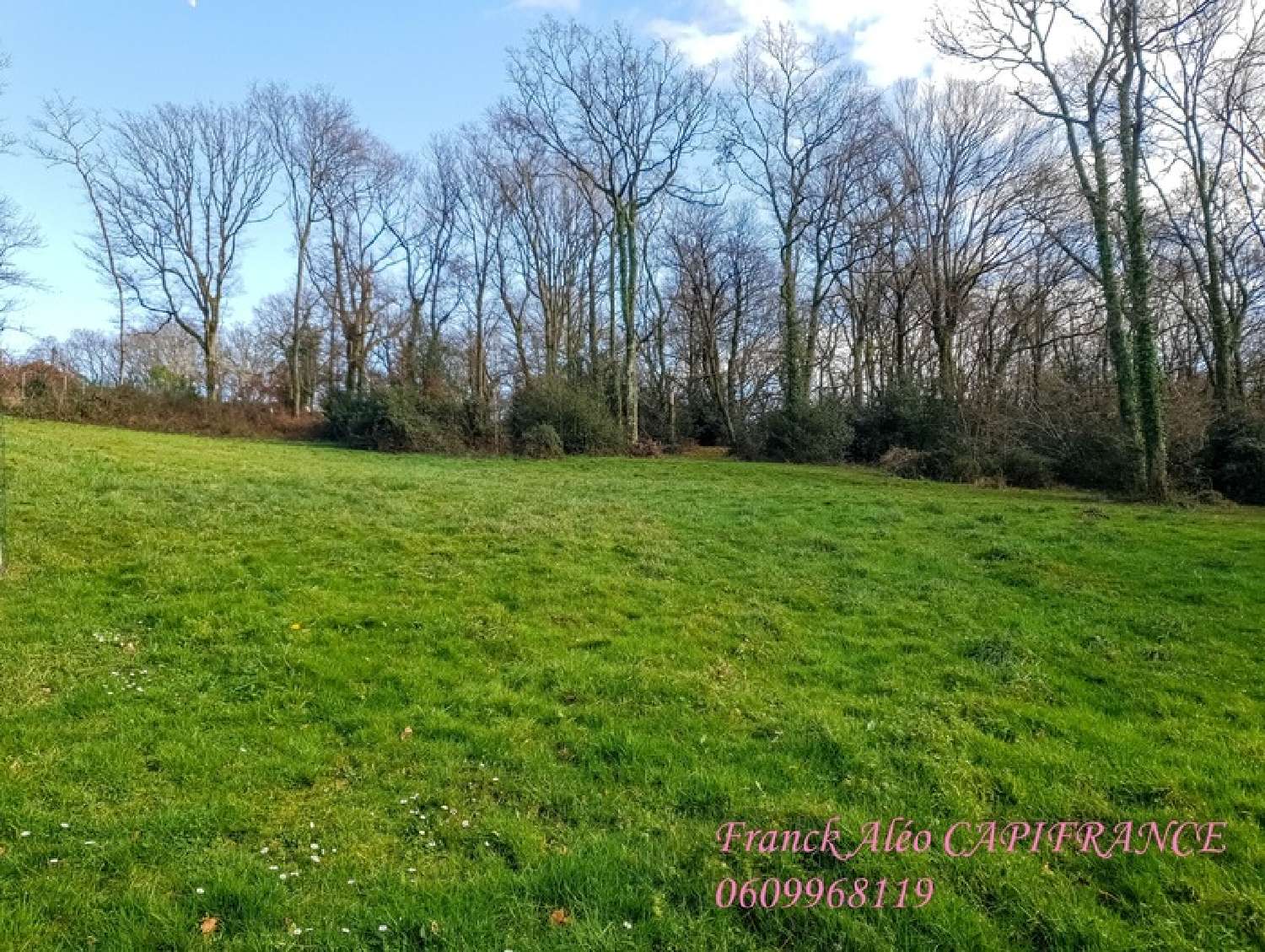  à vendre terrain Buros Pyrénées-Atlantiques 2
