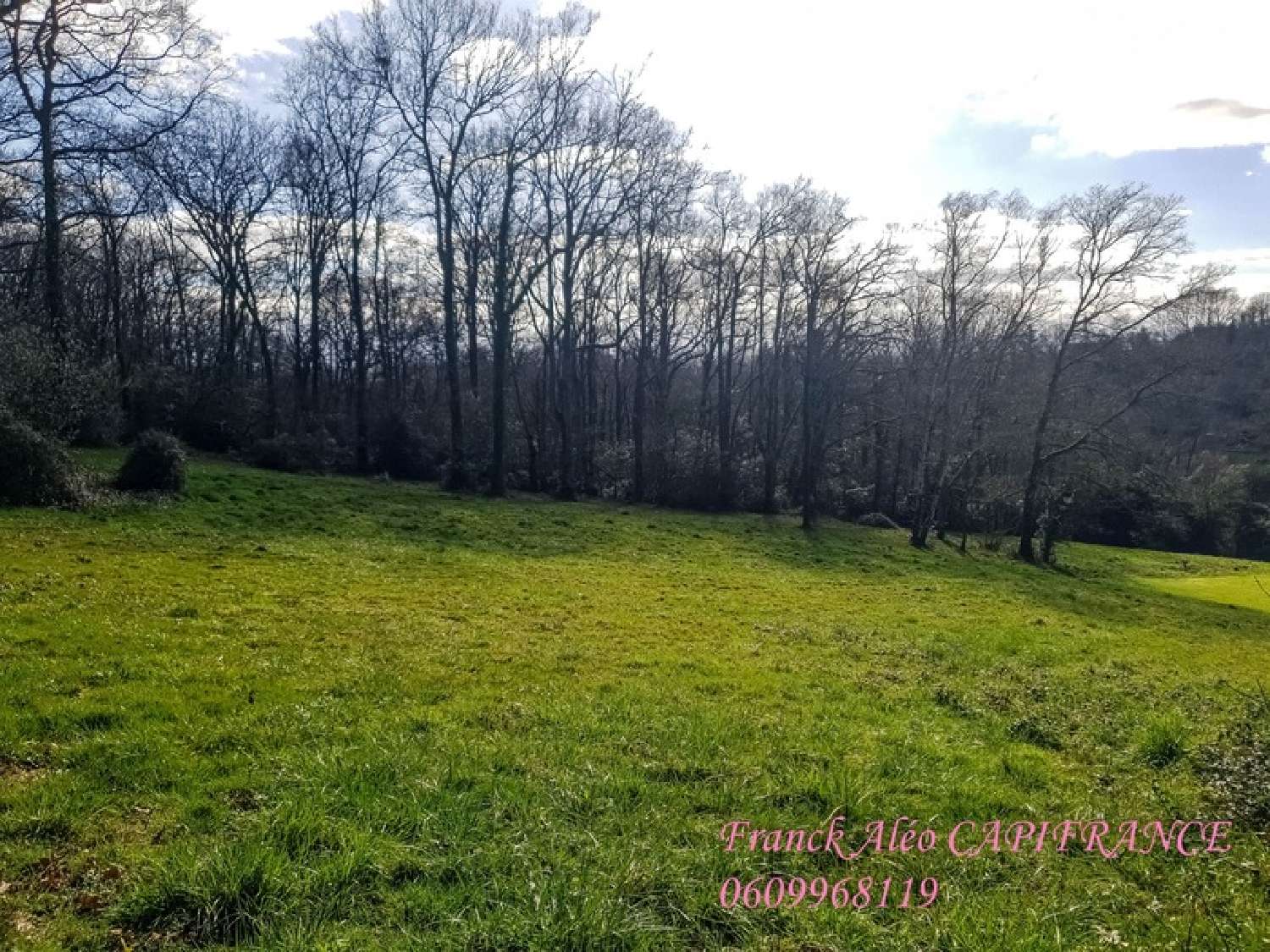  à vendre terrain Buros Pyrénées-Atlantiques 3