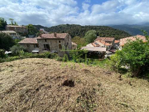 Carbuccia Corse-du-Sud terrain foto 7061493