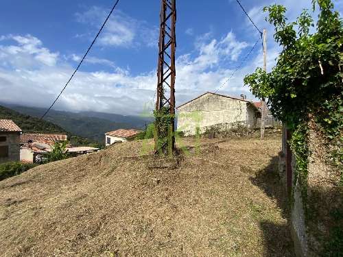  à vendre terrain Carbuccia Corse-du-Sud 5