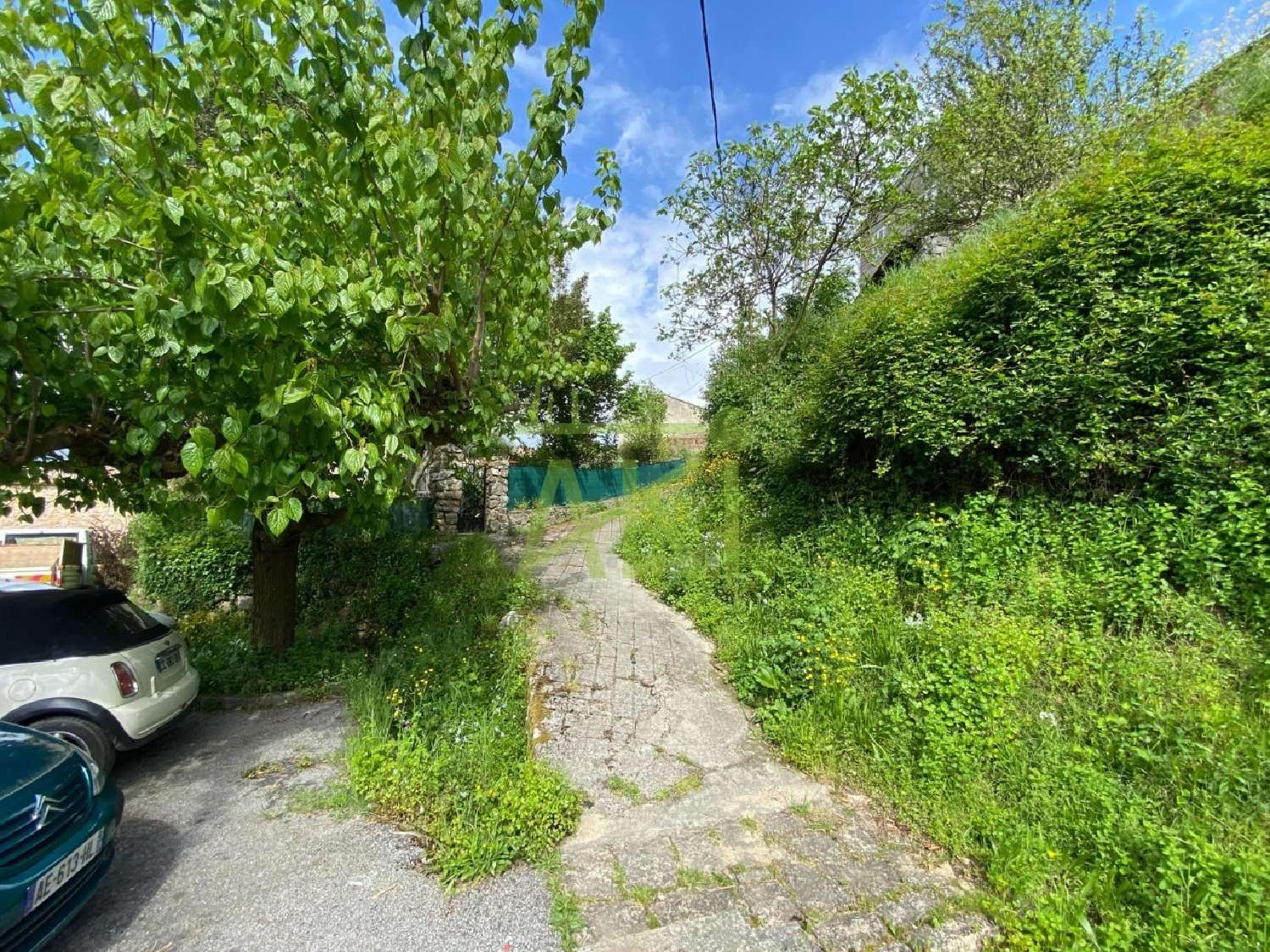  for sale terrain Carbuccia Corse-du-Sud 8