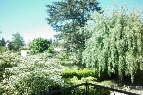 Castres Tarn terrein foto 7064574