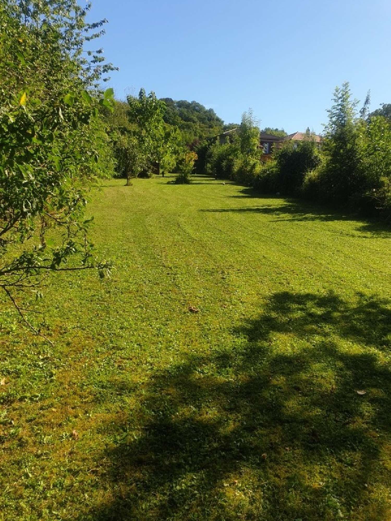  for sale terrain Châtel-Saint-Germain Moselle 2
