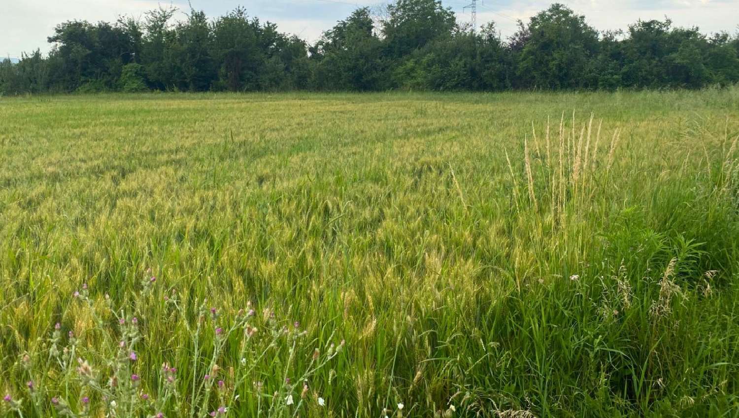 te koop terrein Chatuzange-le-Goubet Drôme 1