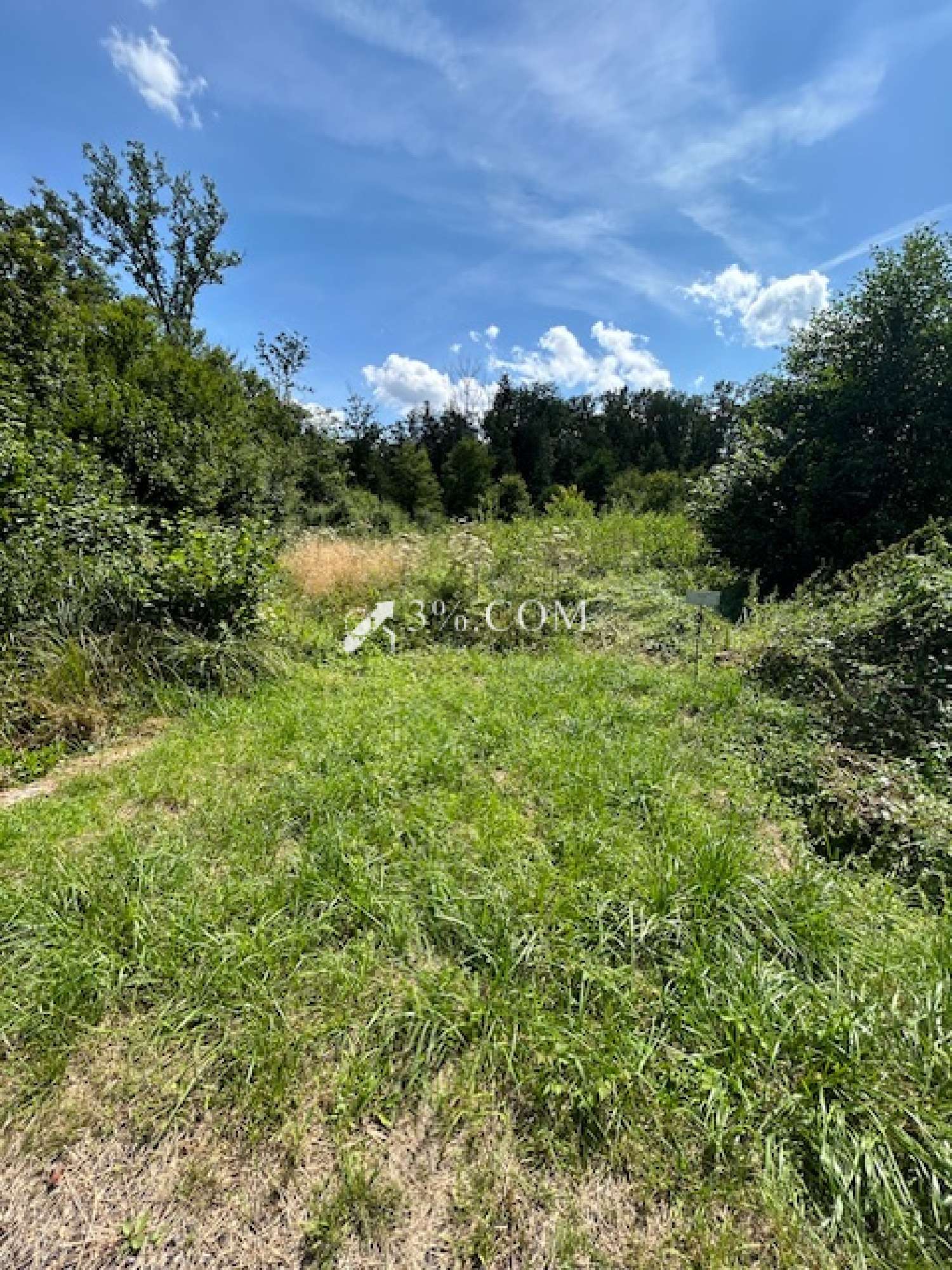  en venta terreno Chazelles-sur-Albe Meurthe-et-Moselle 2