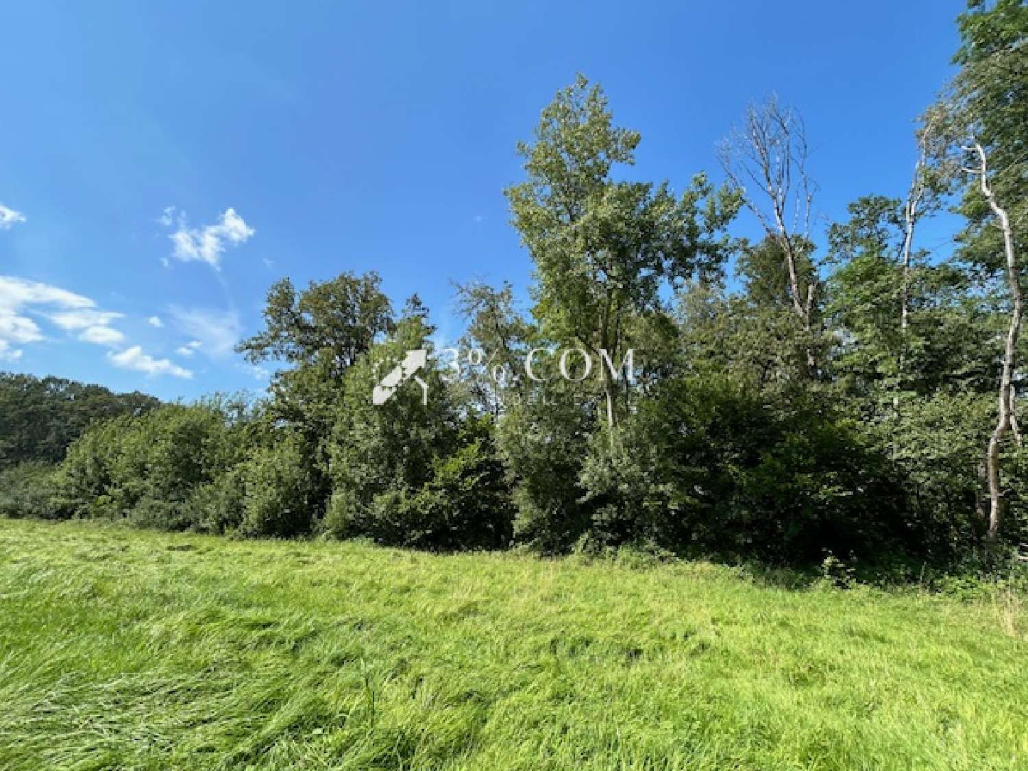  en venta terreno Chazelles-sur-Albe Meurthe-et-Moselle 3