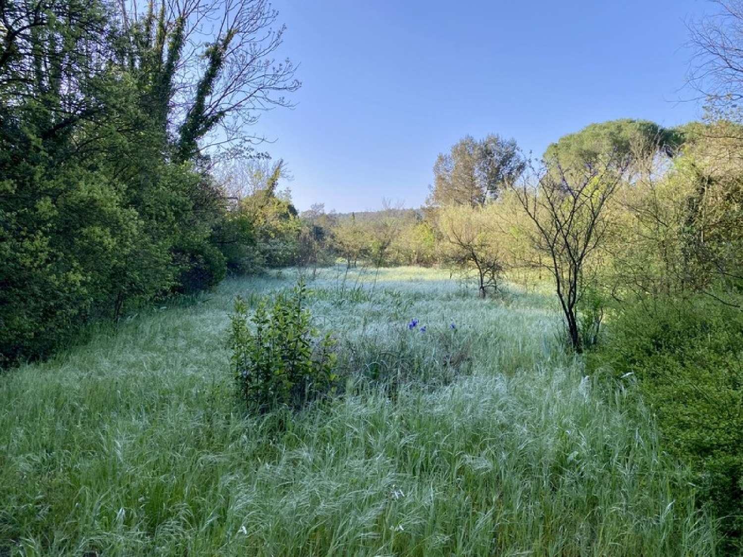  te koop terrein Clapiers Hérault 1