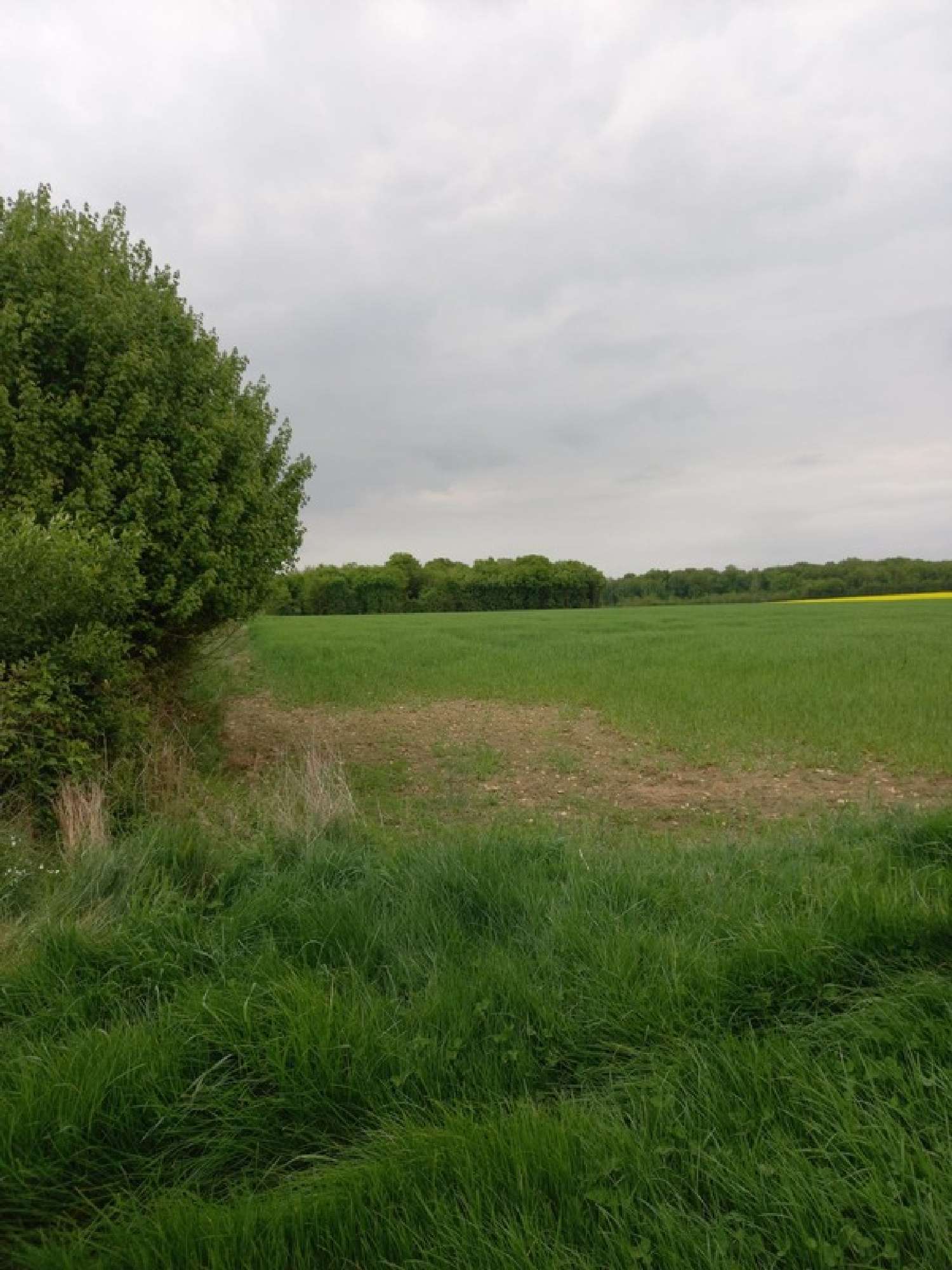  te koop terrein Courtemaux Loiret 1
