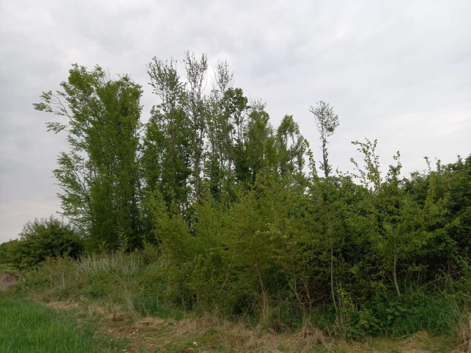 te koop terrein Courtemaux Loiret 2
