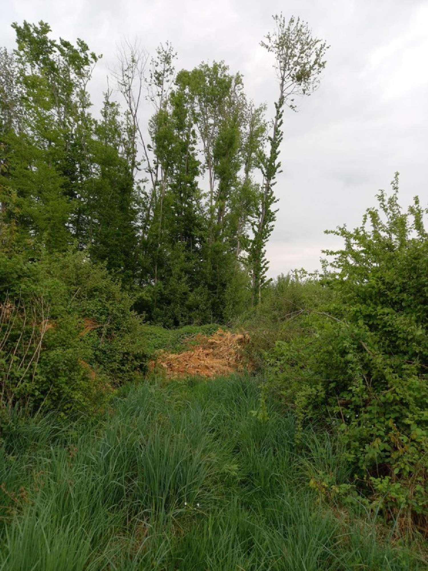  te koop terrein Courtemaux Loiret 4
