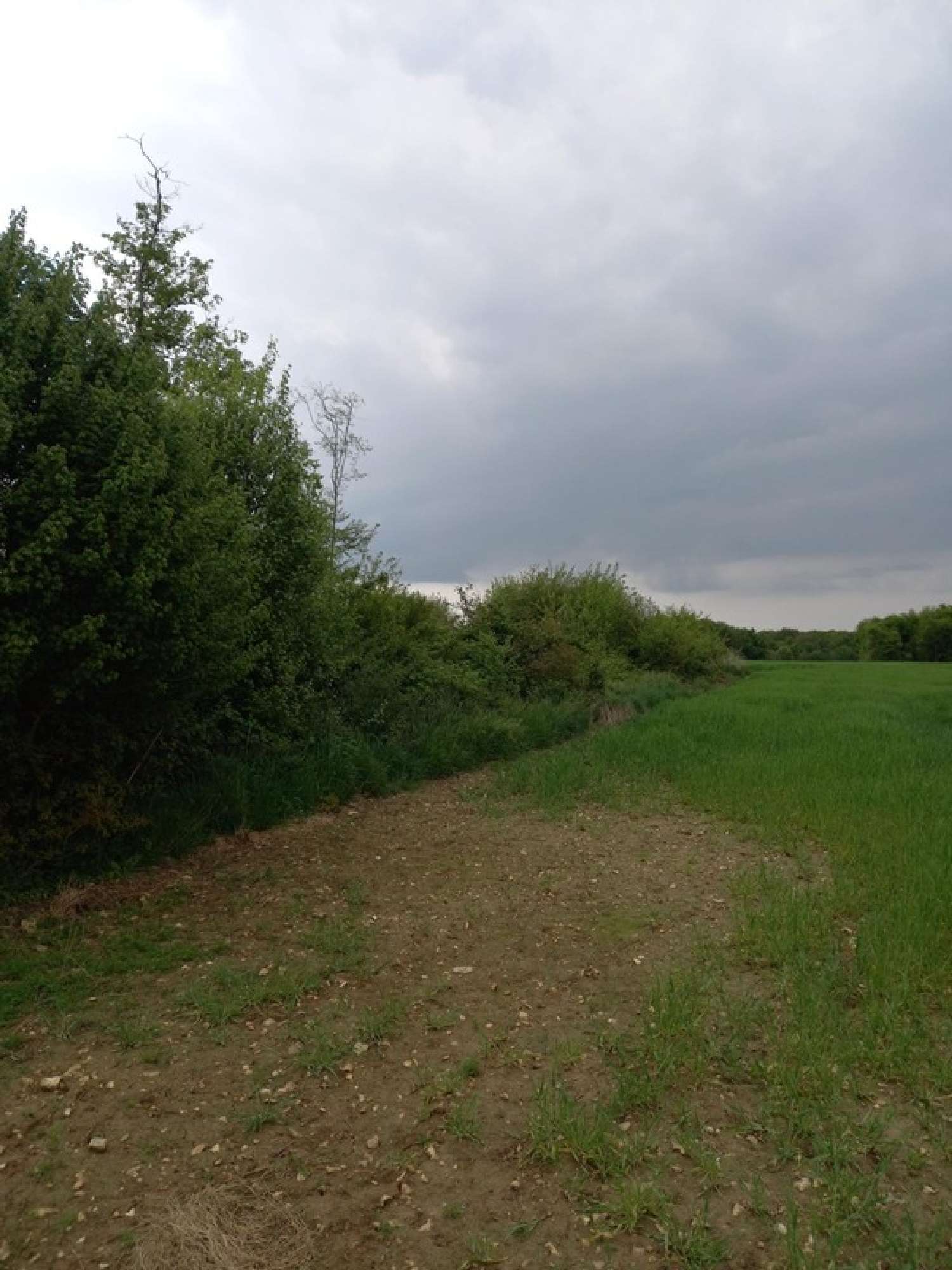 te koop terrein Courtemaux Loiret 6