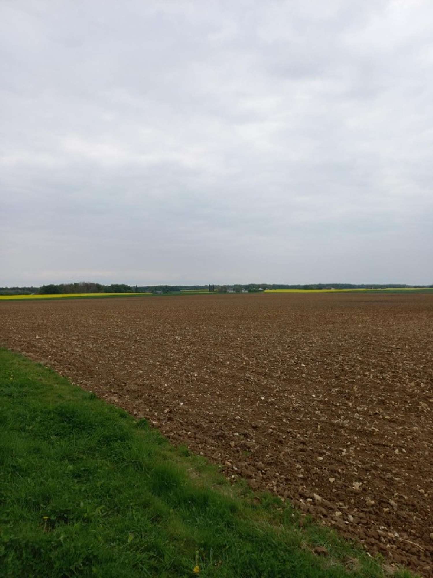  te koop terrein Courtemaux Loiret 7