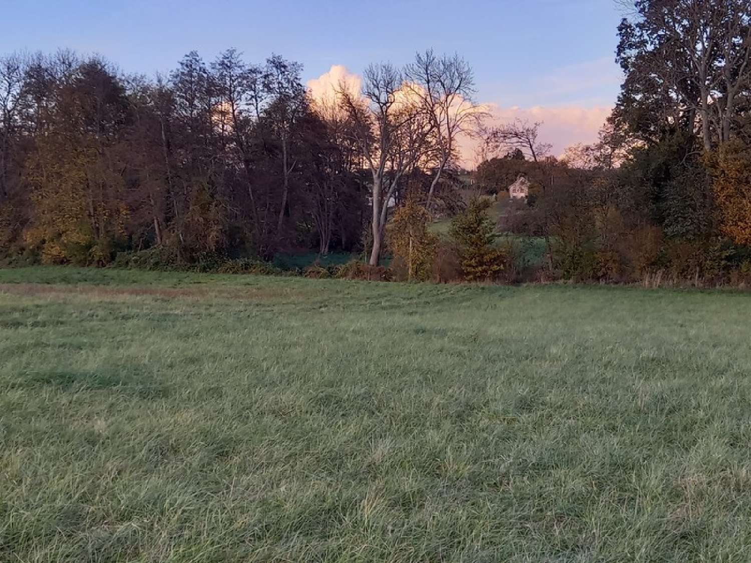  te koop terrein Courtemaux Loiret 1