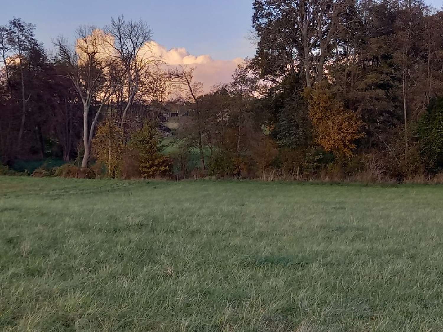  te koop terrein Courtemaux Loiret 3