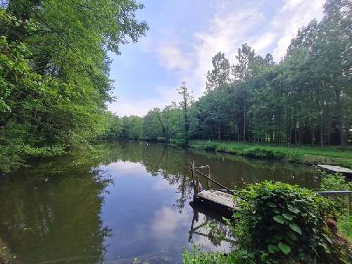 Craon Mayenne terrain foto 7066663