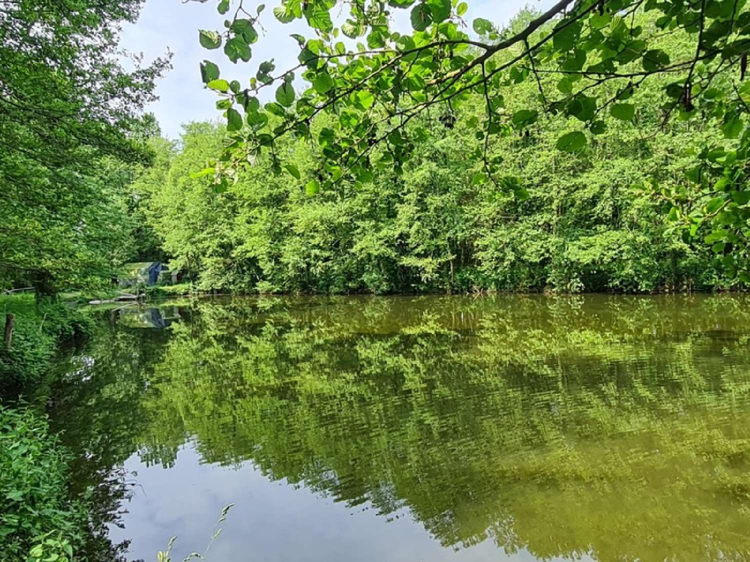  kaufen Grundstück Craon Mayenne 3