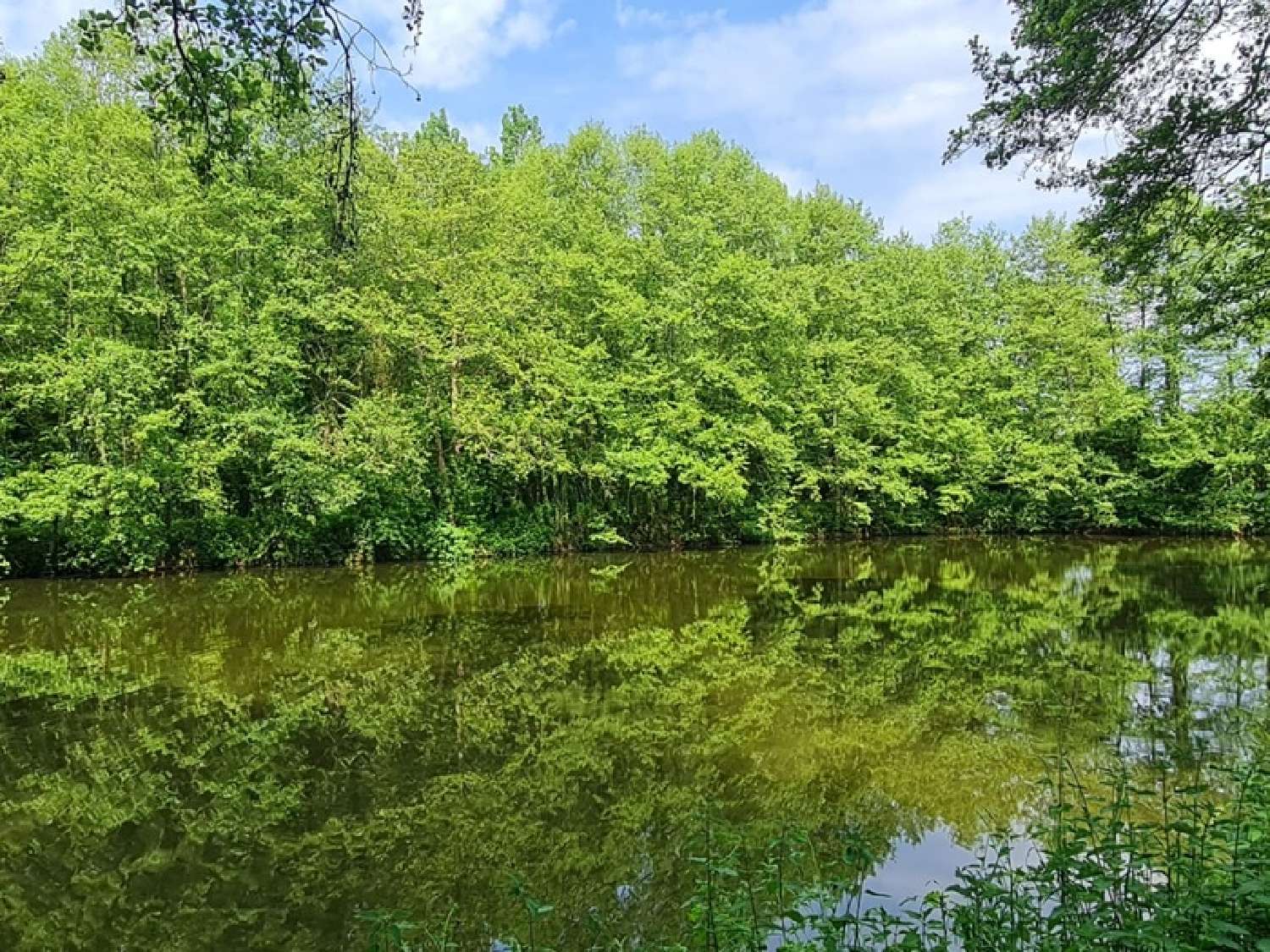  kaufen Grundstück Craon Mayenne 4