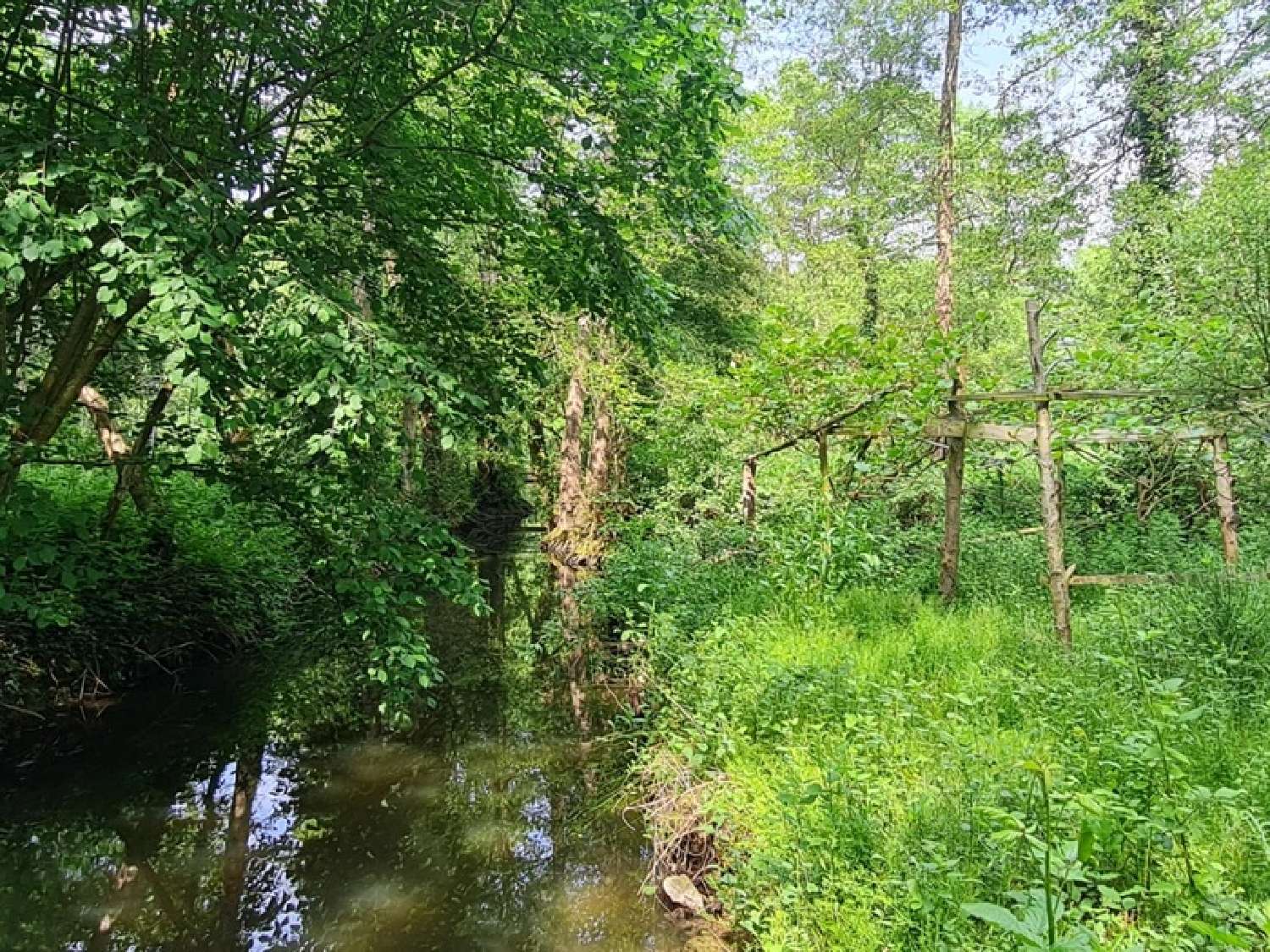  kaufen Grundstück Craon Mayenne 6