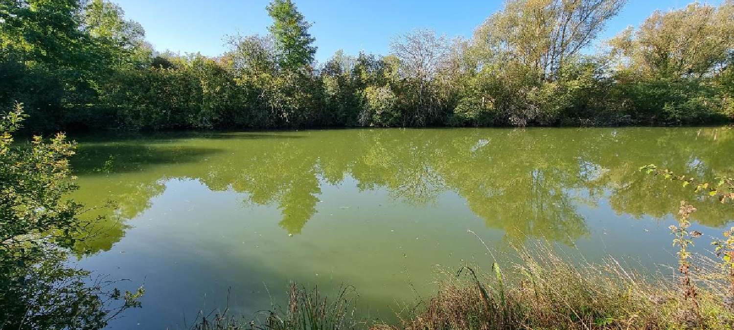 en venta terreno Cuy Yonne 2