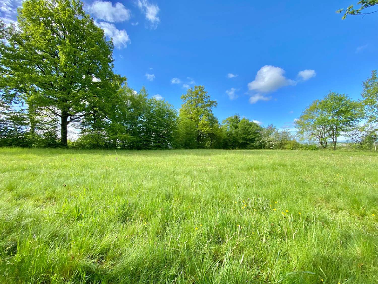  à vendre terrain Droiturier Allier 1