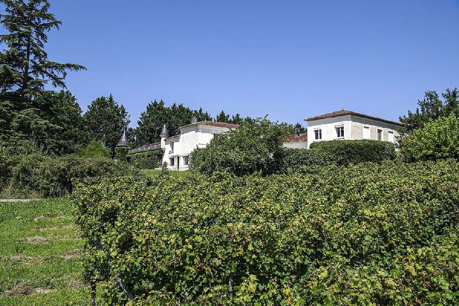  for sale terrain Escoussans Gironde 3