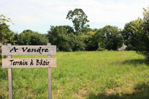 Faremoutiers Seine-et-Marne terrain foto 7059148