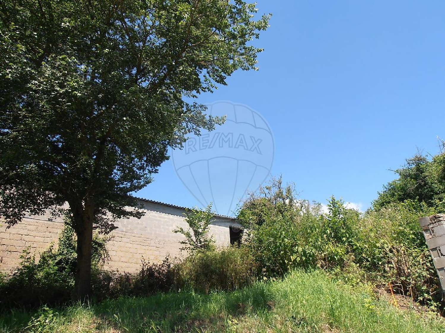  for sale terrain Freistroff Moselle 4