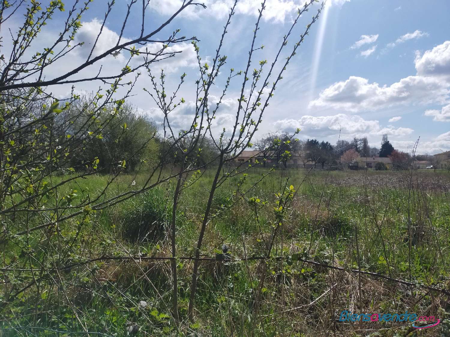  te koop terrein Gençay Vienne 3