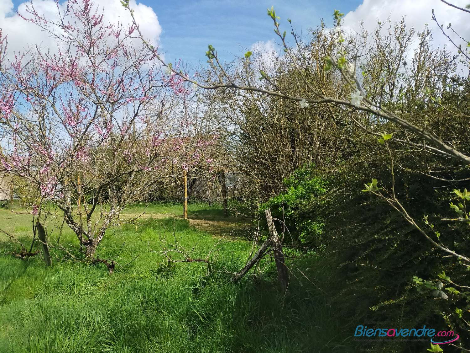  te koop terrein Gençay Vienne 4