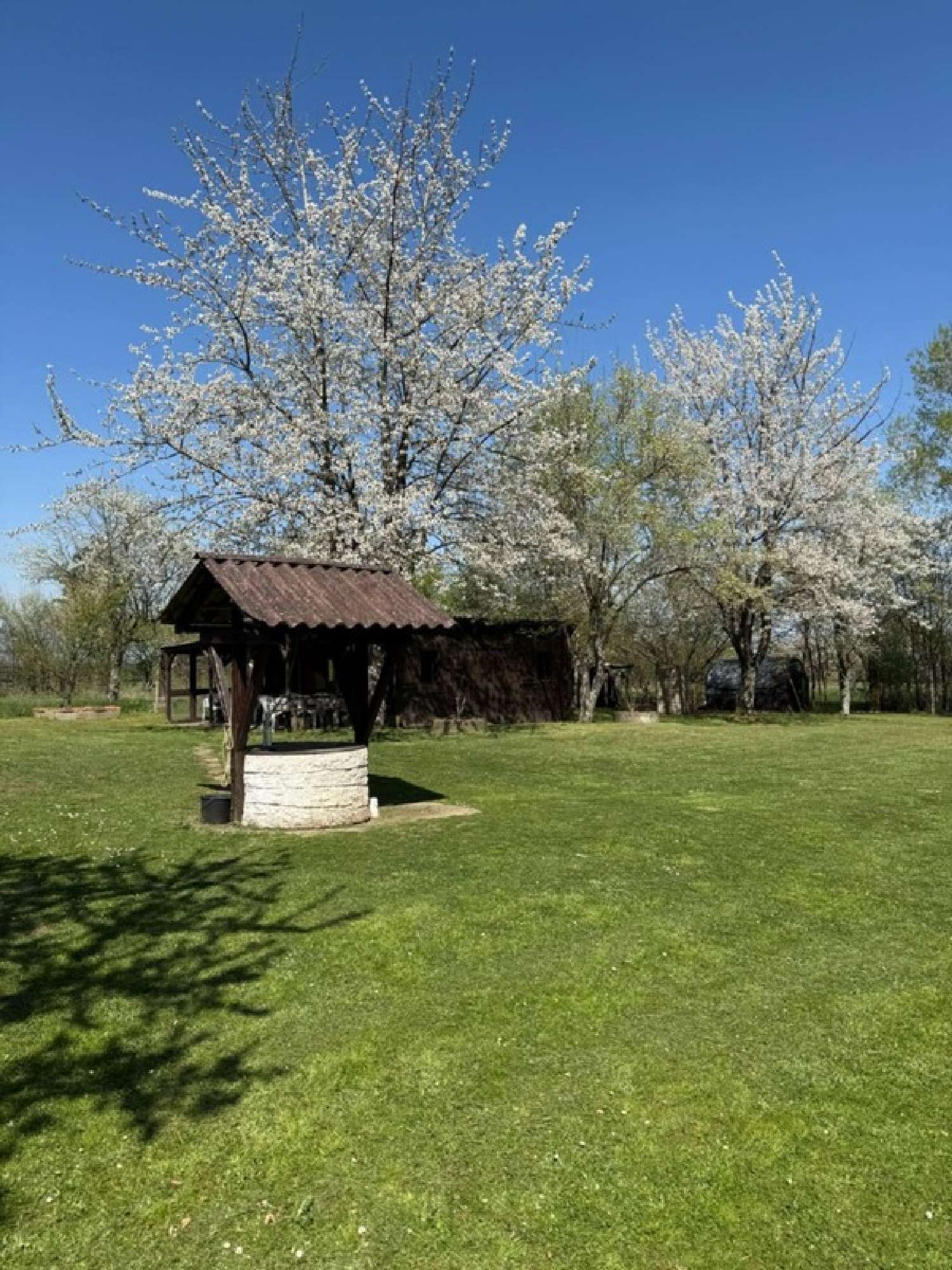  for sale terrain Herbeuville Meuse 2