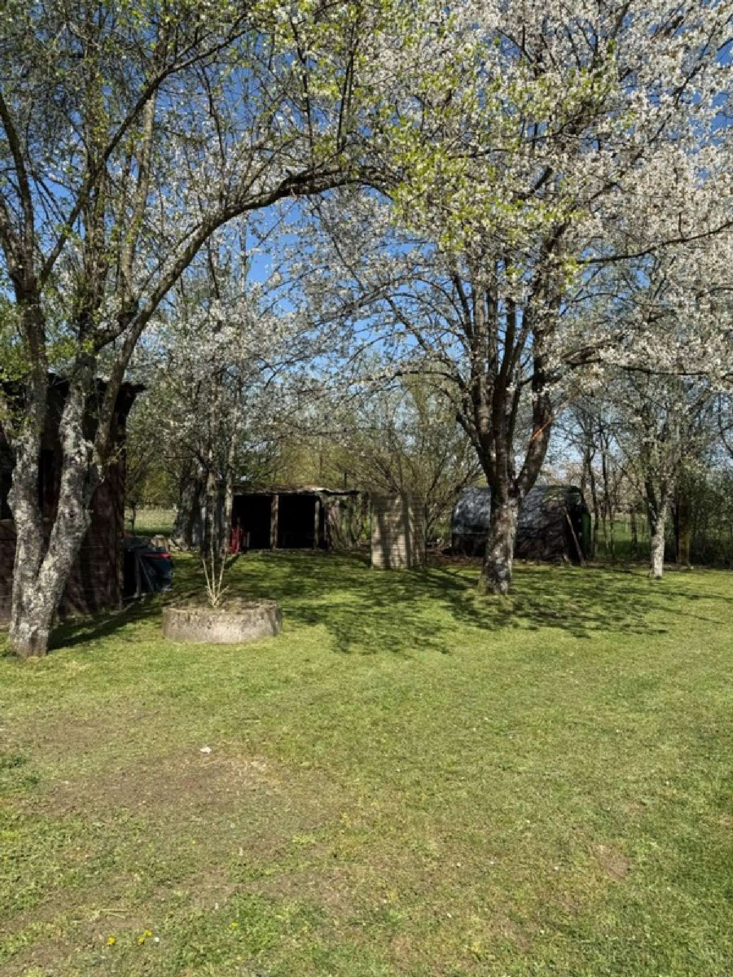 for sale terrain Herbeuville Meuse 3