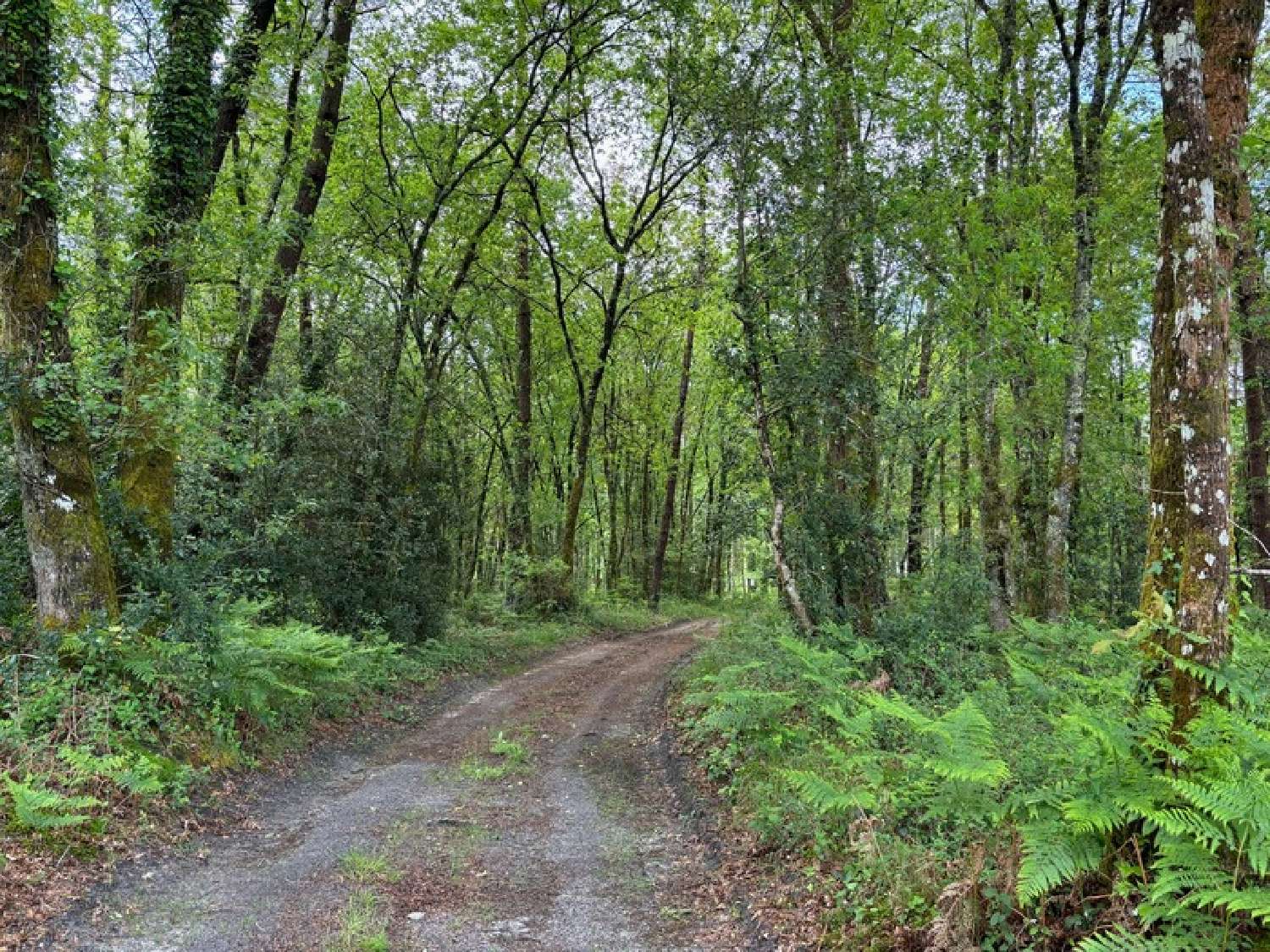  en venta terreno Herm Landes 3
